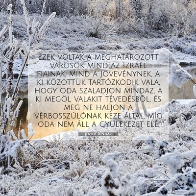 Józsué 20:9 Bibliai vers magyarázata