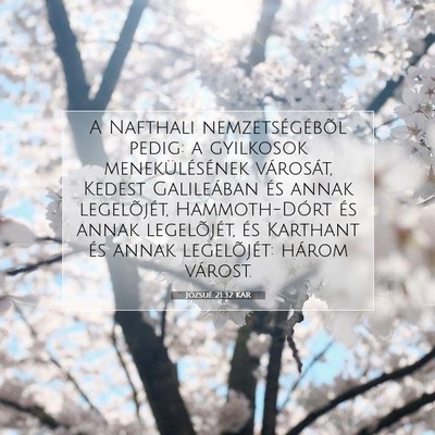 Józsué 21:32 Bibliai vers magyarázata