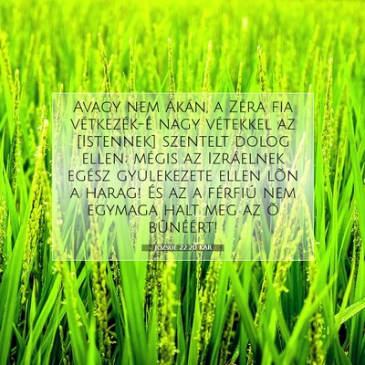 Józsué 22:20 Bibliai vers magyarázata