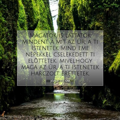 Józsué 23:3 Bibliai vers magyarázata