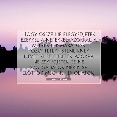 Józsué 23:7 Bibliai vers magyarázata