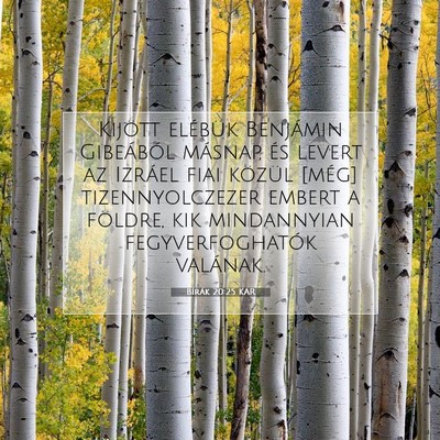 Bírák 20:25 Bibliai vers magyarázata