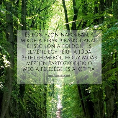 Ruth 1:1 Bibliai vers magyarázata