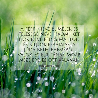 Ruth 1:2 Bibliai vers magyarázata