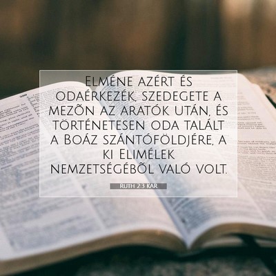 Ruth 2:3 Bibliai vers magyarázata