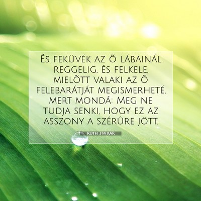 Ruth 3:14 Bibliai vers magyarázata