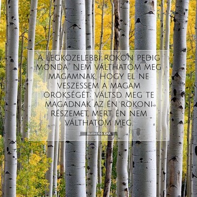 Ruth 4:6 Bibliai vers magyarázata