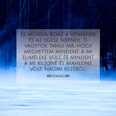 Ruth 4:9 Bibliai vers magyarázata