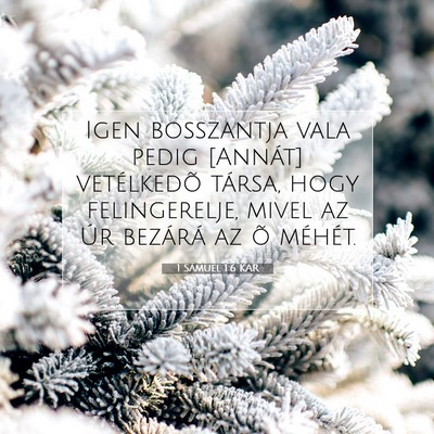 1 Sámuel 1:6 Bibliai vers magyarázata