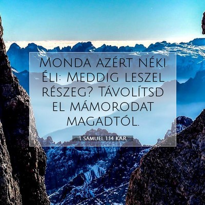 1 Sámuel 1:14 Bibliai vers magyarázata