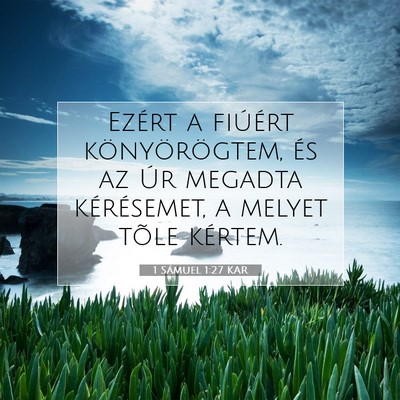 1 Sámuel 1:27 Bibliai vers magyarázata