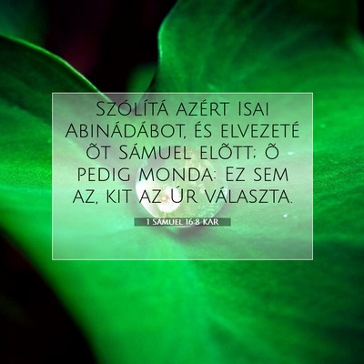 1 Sámuel 16:8 Bibliai vers magyarázata