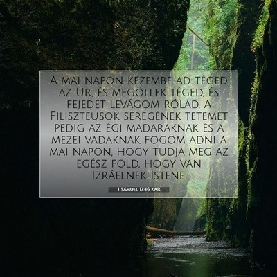 1 Sámuel 17:46 KAR Bibliai verskép