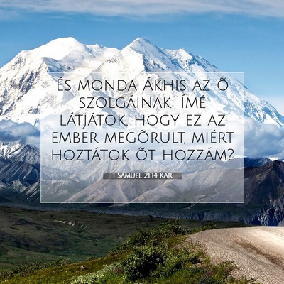 1 Sámuel 21:14 Bibliai vers magyarázata