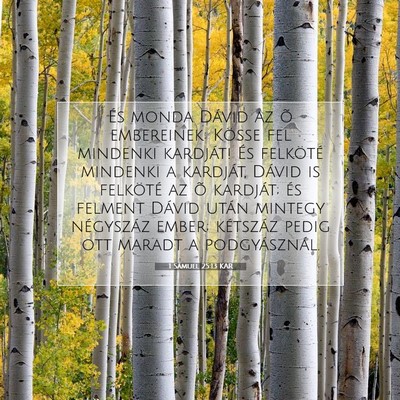 1 Sámuel 25:13 KAR Bibliai verskép