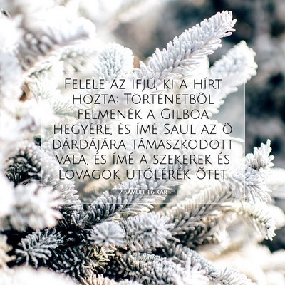 2 Sámuel 1:6 Bibliai vers magyarázata