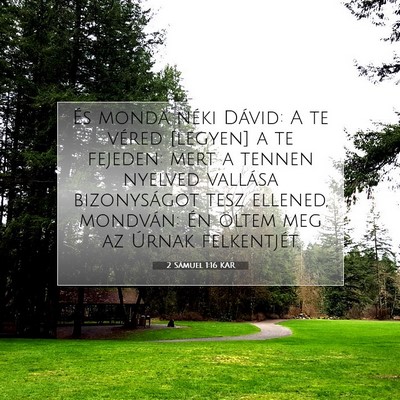 2 Sámuel 1:16 Bibliai vers magyarázata