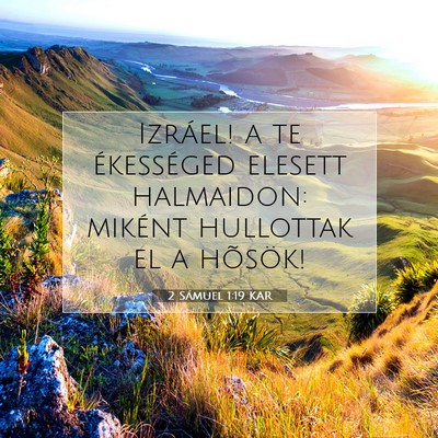 2 Sámuel 1:19 Bibliai vers magyarázata