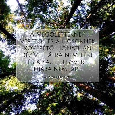 2 Sámuel 1:22 Bibliai vers magyarázata