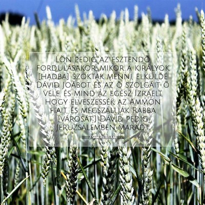 2 Sámuel 11:1 KAR Bibliai verskép