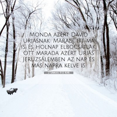 2 Sámuel 11:12 Bibliai vers magyarázata