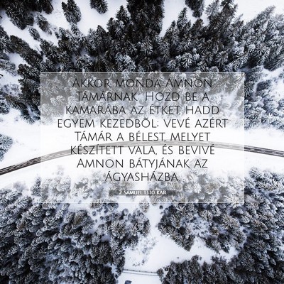 2 Sámuel 13:10 Bibliai vers magyarázata