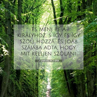 2 Sámuel 14:3 KAR Bibliai verskép