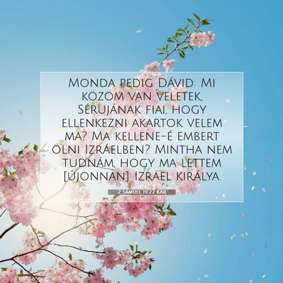 2 Sámuel 19:22 KAR Bibliai verskép