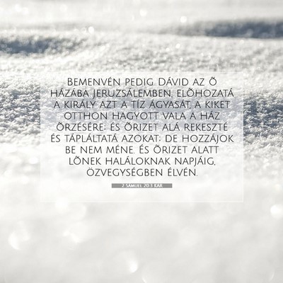 2 Sámuel 20:3 KAR Bibliai verskép