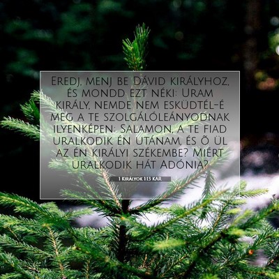 1 Királyok 1:13 Bibliai vers magyarázata