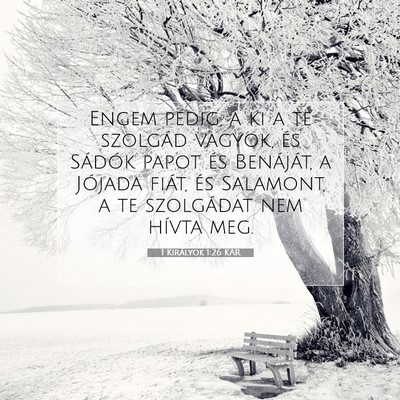 1 Királyok 1:26 Bibliai vers magyarázata