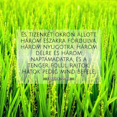 1 Királyok 7:25 KAR Bibliai verskép