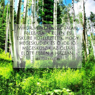 1 Királyok 8:31 KAR Bibliai verskép