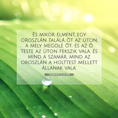 1 Királyok 13:24 KAR Bibliai verskép