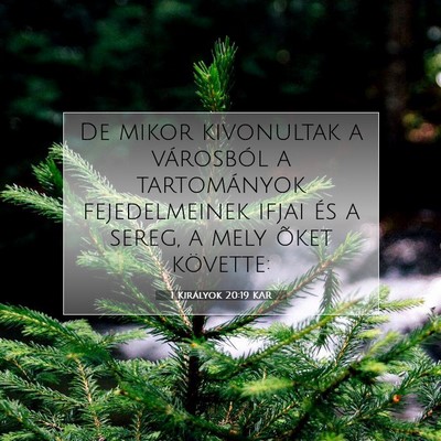 1 Királyok 20:19 KAR Bibliai verskép