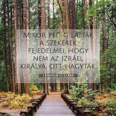 1 Királyok 22:33 KAR Bibliai verskép