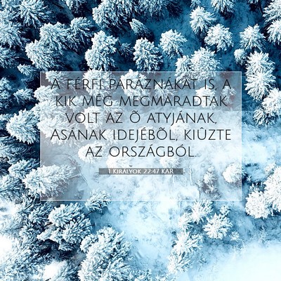 1 Királyok 22:47 KAR Bibliai verskép