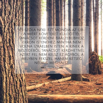 2 Királyok 1:16 Bibliai vers magyarázata