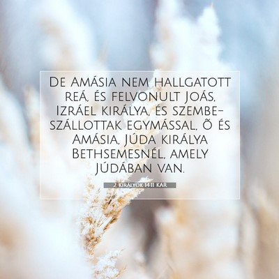 2 Királyok 14:11 KAR Bibliai verskép