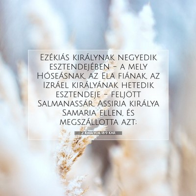 2 Királyok 18:9 KAR Bibliai verskép