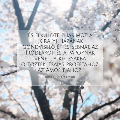 2 Királyok 19:2 KAR Bibliai verskép
