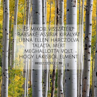 2 Királyok 19:8 KAR Bibliai verskép
