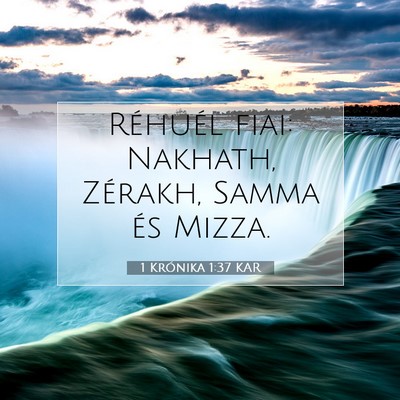 1 Krónika 1:37 Bibliai vers magyarázata