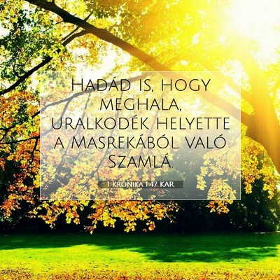 1 Krónika 1:47 Bibliai vers magyarázata