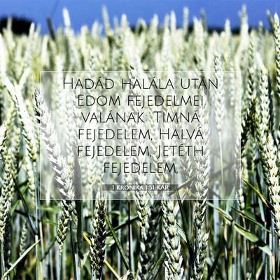 1 Krónika 1:51 Bibliai vers magyarázata