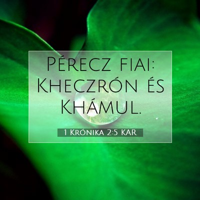 1 Krónika 2:5 KAR Bibliai verskép