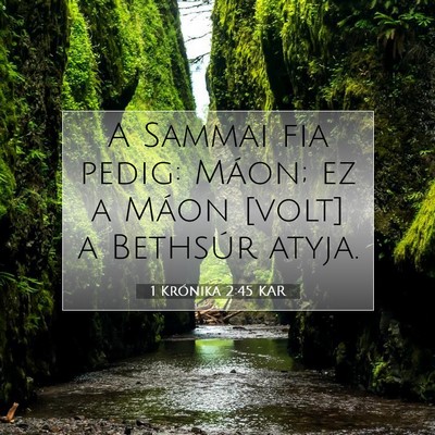 1 Krónika 2:45 KAR Bibliai verskép