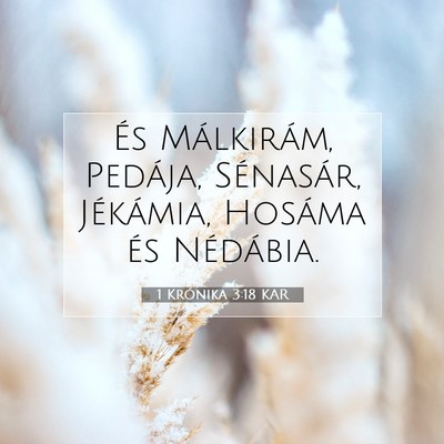 1 Krónika 3:18 KAR Bibliai verskép