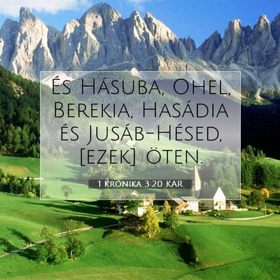 1 Krónika 3:20 Bibliai vers magyarázata