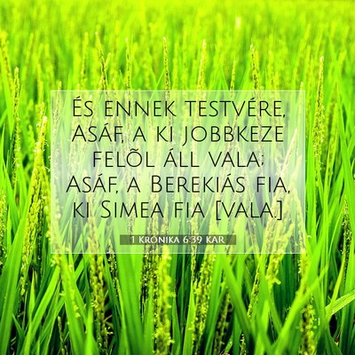 1 Krónika 6:39 KAR Bibliai verskép